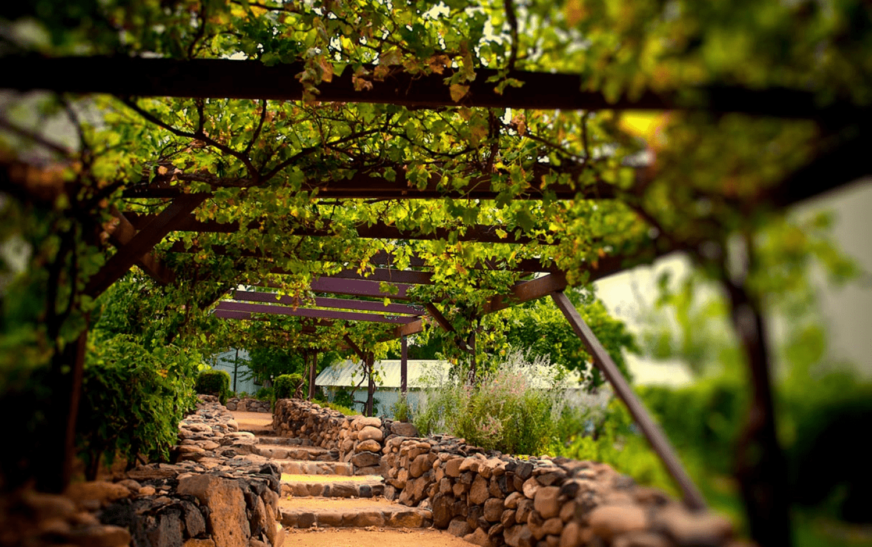 São Roque, a capital do vinho!